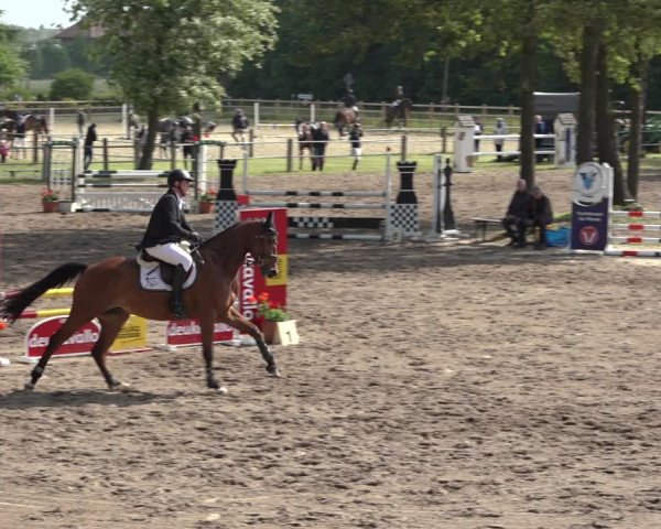 Reitturnier Mettingen 2023