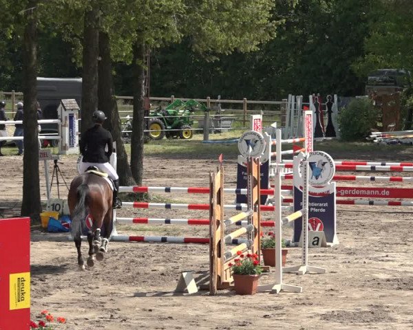 Reitturnier Mettingen 2023