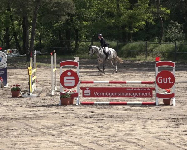 Reitturnier Mettingen 2023