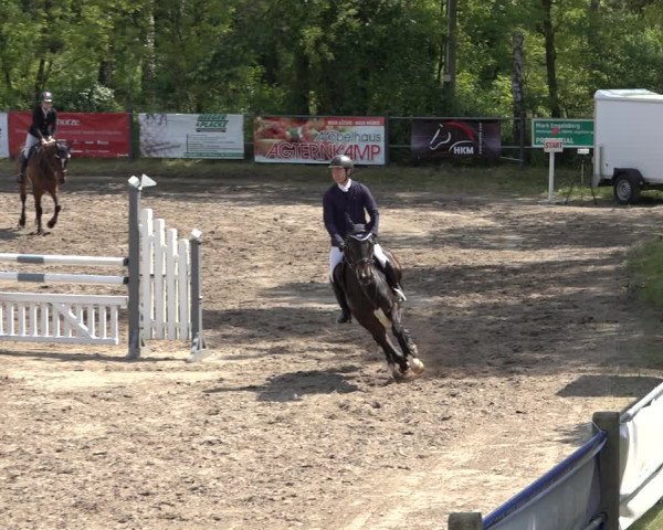 Reitturnier Mettingen 2023