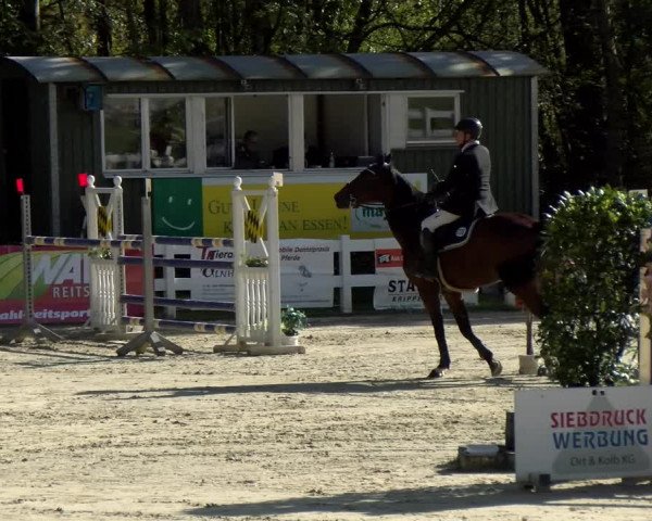 Reitturnier Isny-Rohrdorf 2021
