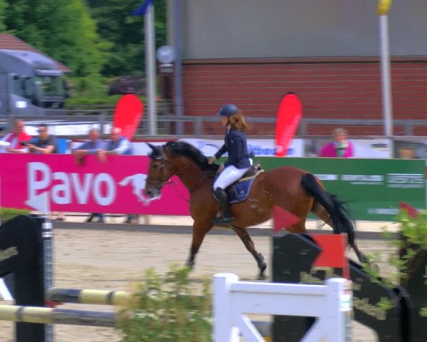 Reitturnier Borken Reitanlage Sportpferde Ehning 2023