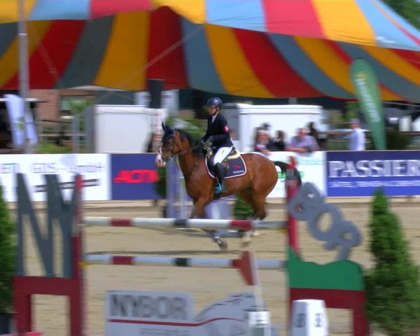 Reitturnier Borken Reitanlage Sportpferde Ehning 2023