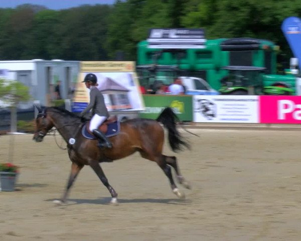 Reitturnier Borken Reitanlage Sportpferde Ehning 2023