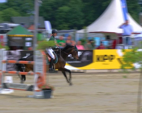 Reitturnier Borken Reitanlage Sportpferde Ehning 2023