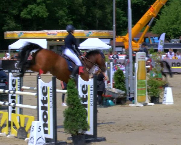 Reitturnier Borken Reitanlage Sportpferde Ehning 2023