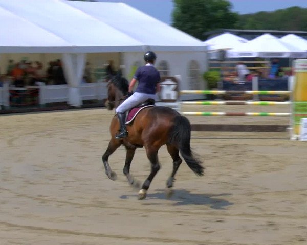 Reitturnier Borken Reitanlage Sportpferde Ehning 2023