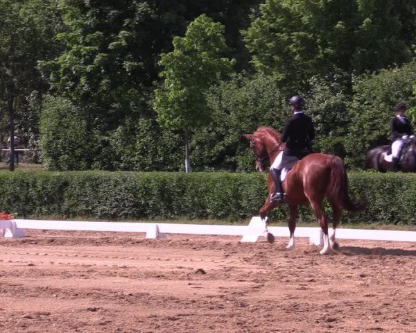 Reitturnier Westeregeln 2023