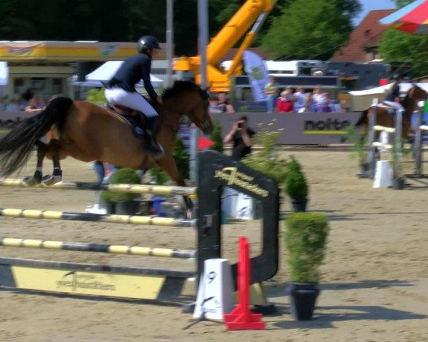 Reitturnier Borken Reitanlage Sportpferde Ehning 2023