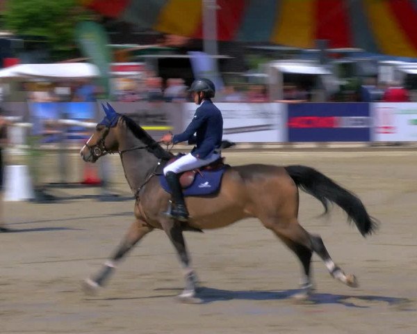 Reitturnier Borken Reitanlage Sportpferde Ehning 2023