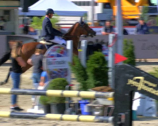 Reitturnier Borken Reitanlage Sportpferde Ehning 2023