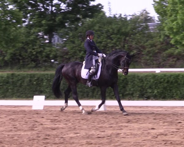 Reitturnier Westeregeln 2023