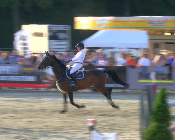Reitturnier Borken Reitanlage Sportpferde Ehning 2023