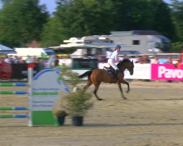 Reitturnier Borken Reitanlage Sportpferde Ehning 2023