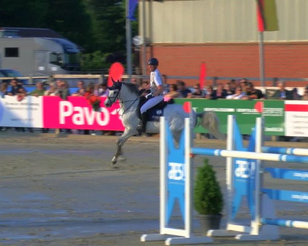 Reitturnier Borken Reitanlage Sportpferde Ehning 2023