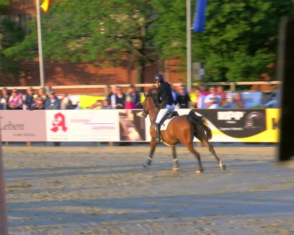 Reitturnier Borken Reitanlage Sportpferde Ehning 2023
