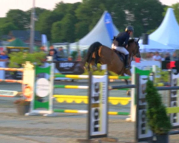 Reitturnier Borken Reitanlage Sportpferde Ehning 2023
