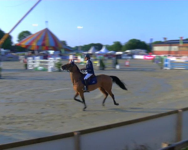 Reitturnier Borken Reitanlage Sportpferde Ehning 2023