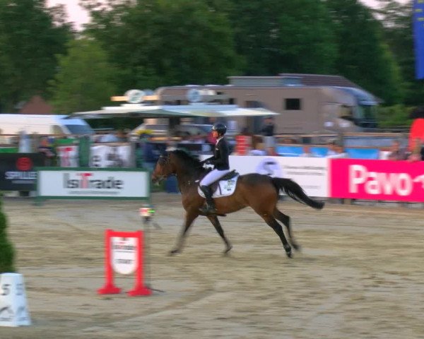 Reitturnier Borken Reitanlage Sportpferde Ehning 2023