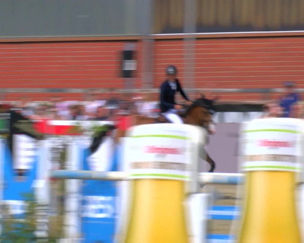 Reitturnier Borken Reitanlage Sportpferde Ehning 2023