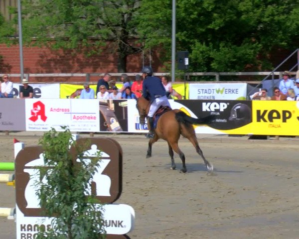Reitturnier Borken Reitanlage Sportpferde Ehning 2023