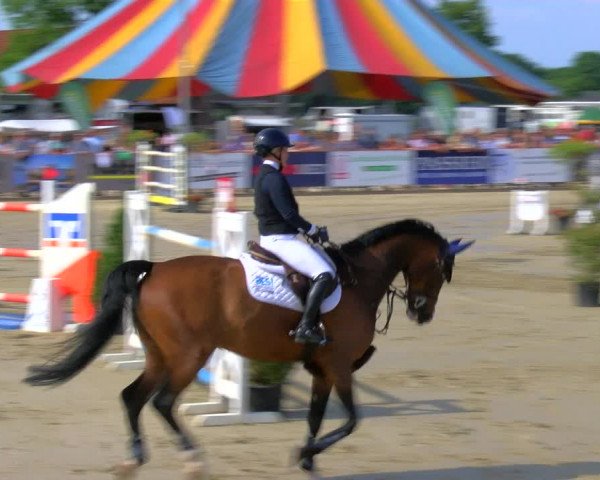 Reitturnier Borken Reitanlage Sportpferde Ehning 2023