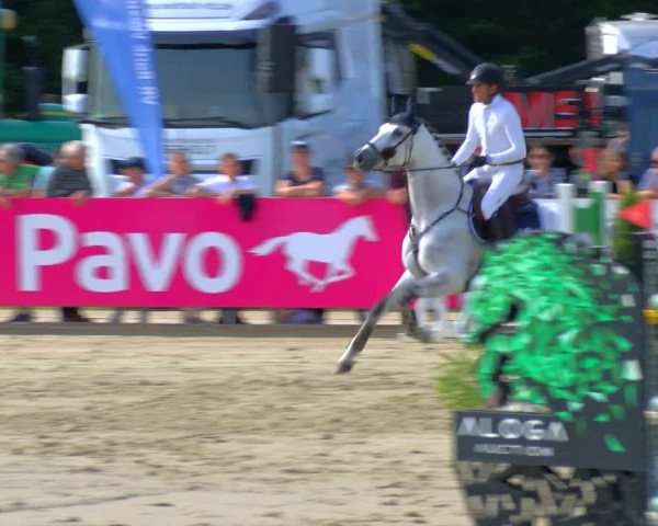 Reitturnier Borken Reitanlage Sportpferde Ehning 2023