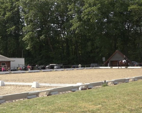 Reitturnier Mettingen 2023