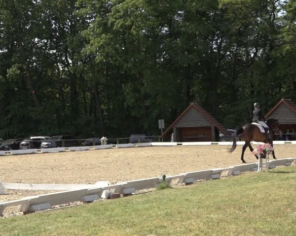 Reitturnier Mettingen 2023