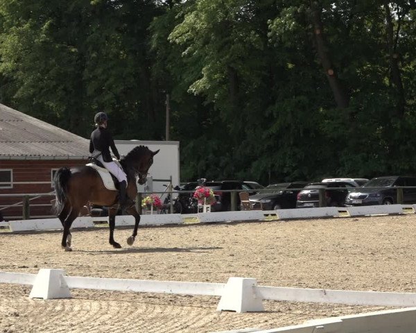 Reitturnier Mettingen 2023