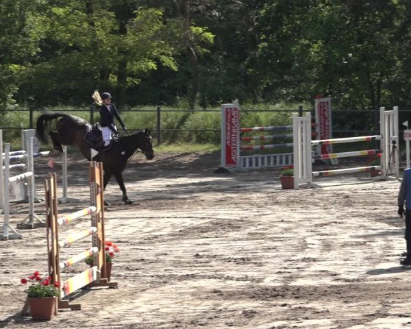 Reitturnier Mettingen 2023