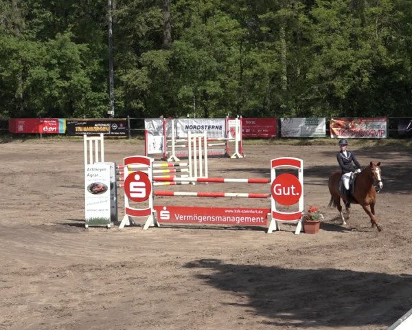 Reitturnier Mettingen 2023