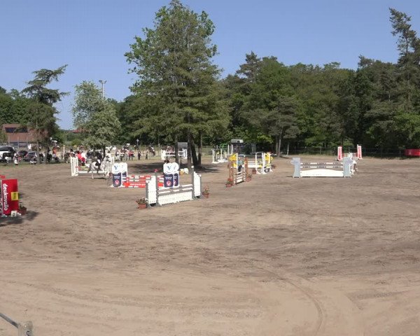 Reitturnier Mettingen 2023