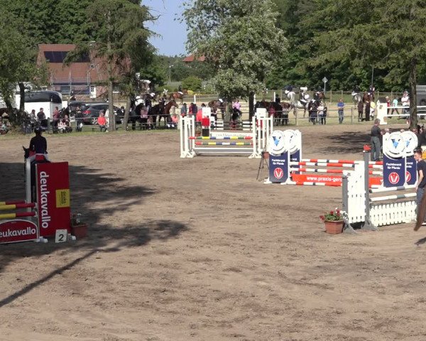 Reitturnier Mettingen 2023