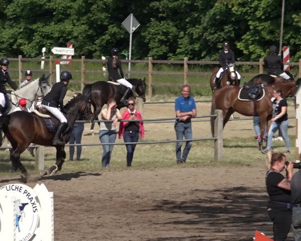 Reitturnier Mettingen 2023