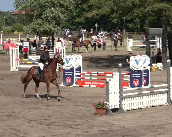 Reitturnier Mettingen 2023