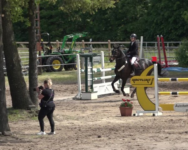 Reitturnier Mettingen 2023
