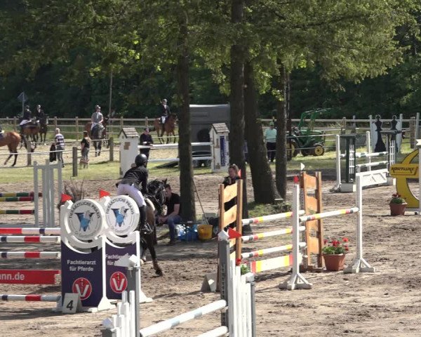 Reitturnier Mettingen 2023