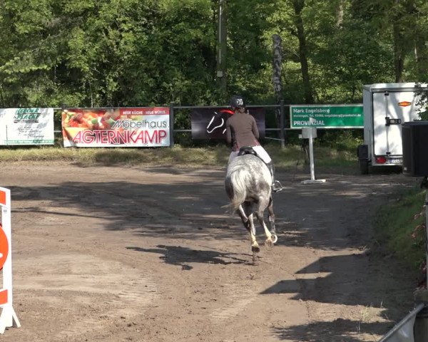 Reitturnier Mettingen 2023