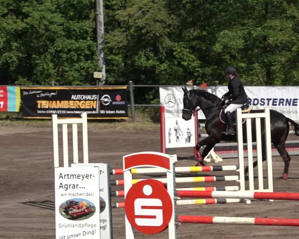 Reitturnier Mettingen 2023