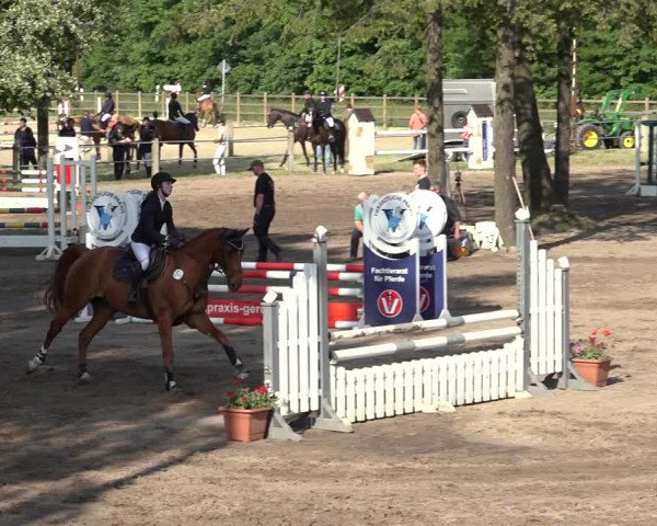 Reitturnier Mettingen 2023
