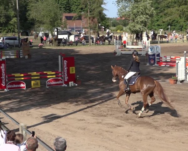 Reitturnier Mettingen 2023