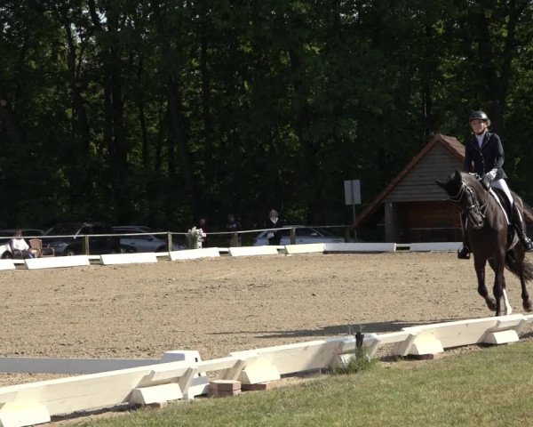 Reitturnier Mettingen 2023