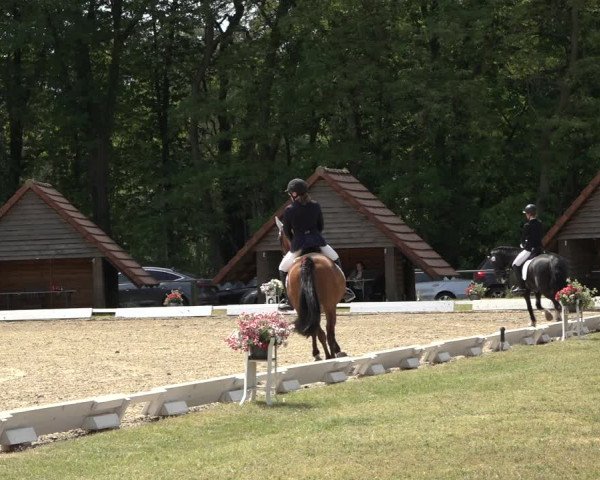 Reitturnier Mettingen 2023