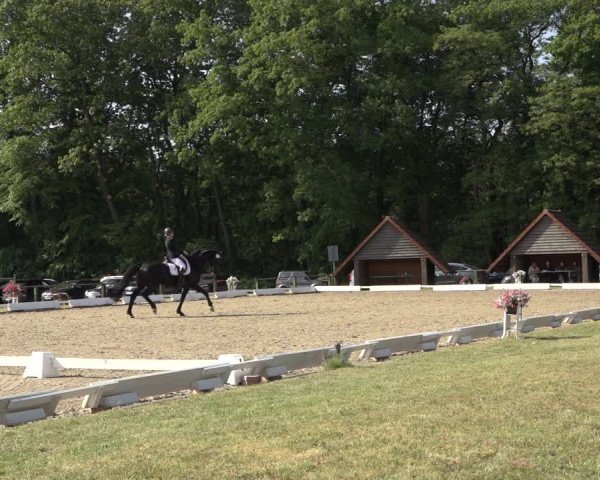 Reitturnier Mettingen 2023