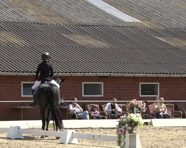 Reitturnier Mettingen 2023