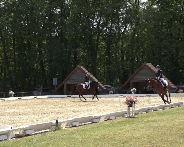 Reitturnier Mettingen 2023