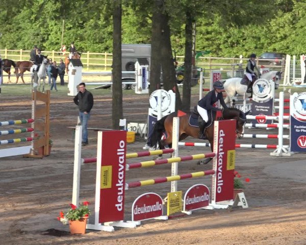 Reitturnier Mettingen 2023