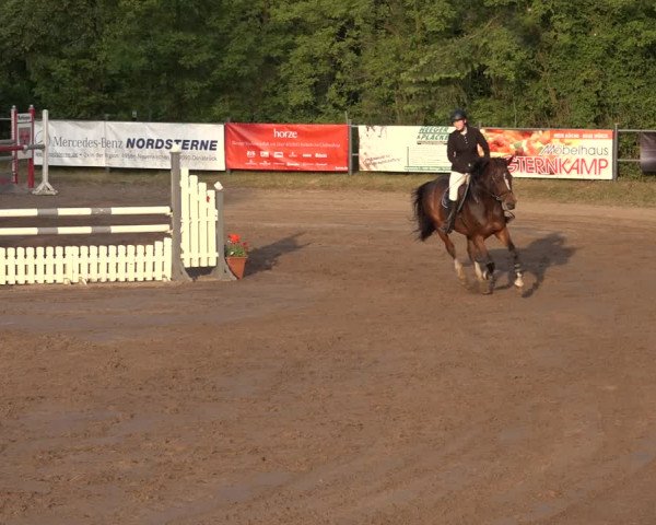 Reitturnier Mettingen 2023