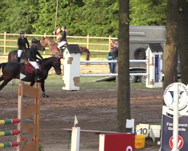 Reitturnier Mettingen 2023